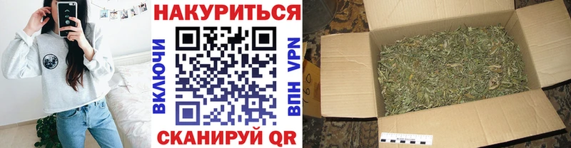 Продажа наркотиков Пучеж Гашиш  Бошки Шишки  Галлюциногенные грибы  МЕФ  Cocaine  СК 