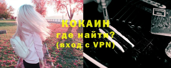 кокс Арсеньев