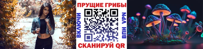 Псилоцибиновые грибы Magic Shrooms  darknet формула  Пучеж  купить наркоту 
